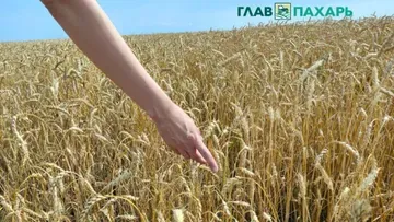 Дефицит IT-специалистов в сельском хозяйстве составляет около 90 тысяч человек — Владимир Пушкарев